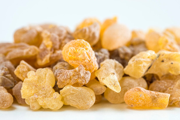 Fenyőtömjén frankincense fotója